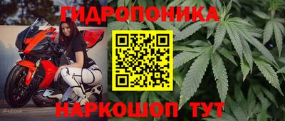 jwh Краснознаменск
