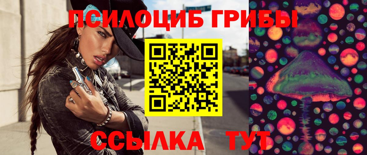 Псилоцибиновые грибы Psilocybine cubensis Ишимбай